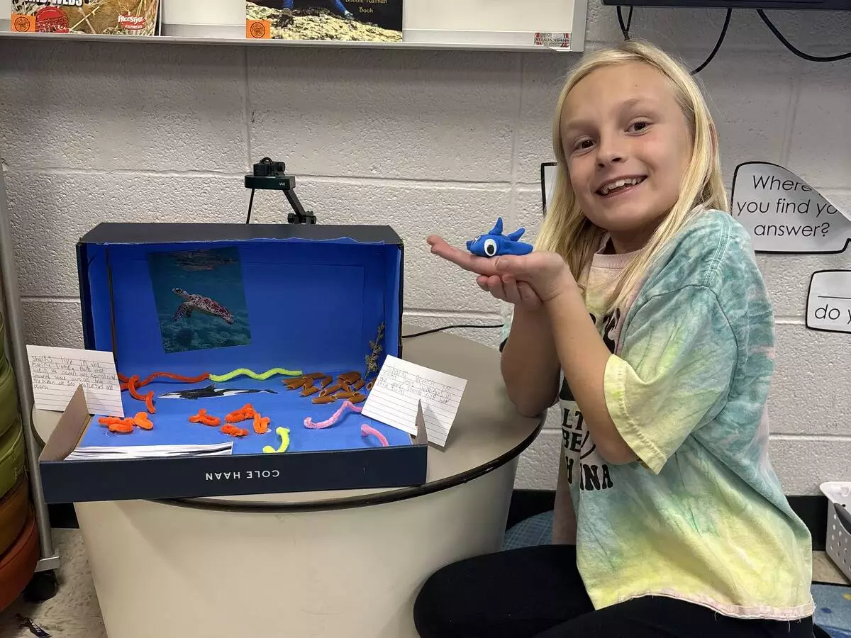 Animal Adaptations Project